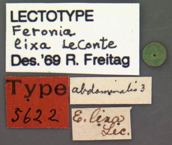 Media type: image;   Entomology 5622 Aspect: labels